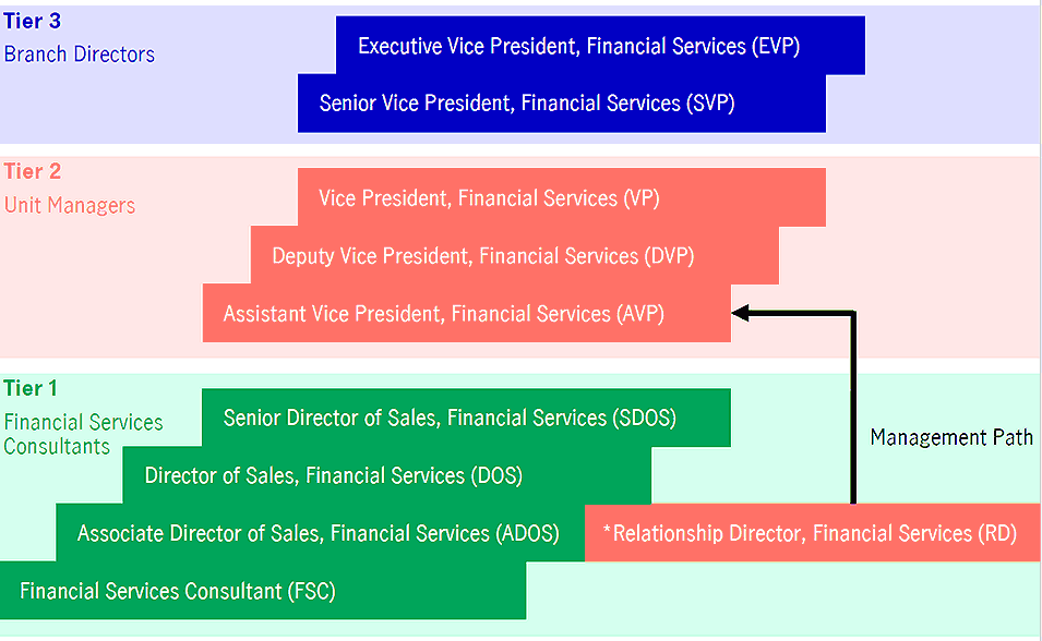 Your Career Path